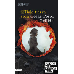 BAJO TIERRA SECA (PREMIO NADAL 2024)