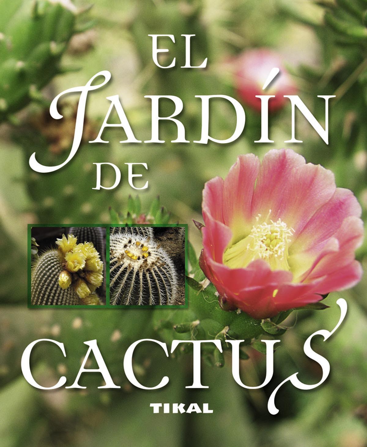 Producto